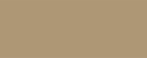 ppic1 041.1717. ABS edging Camel Brown minipearl