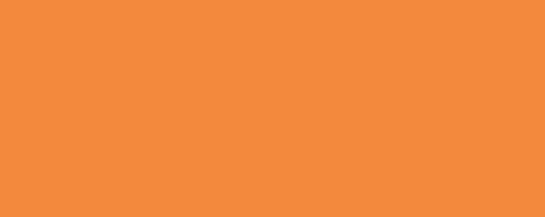 ppic1 041.3280. ABS edging Tangerine minipearl
