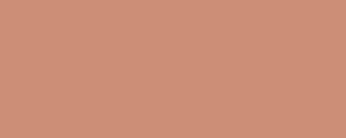 ppic1 041.4259. ABS edging Apricot Nude minipearl