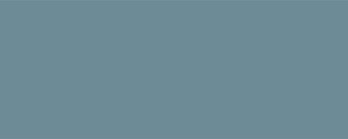 ppic1 041.5212. ABS edging Cédre Bleu minipearl