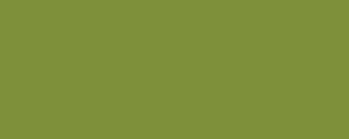 ppic1 041.6358. ABS edging Leaf Green minipearl