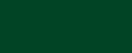 ppic1 041.6850. ABS edging Pine green minipearl