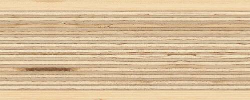 ppic1 070.0800. Wood veneer edging Real Multiplex