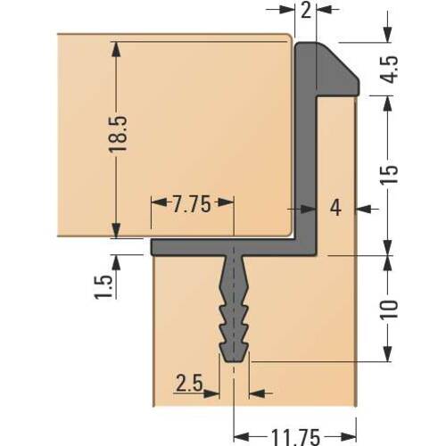 tdra1 Carcass framing profile with T-bar and head